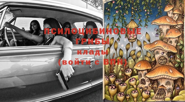 сатива Абдулино